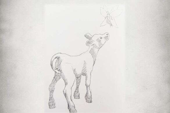 Night in the Meadow kansikuva